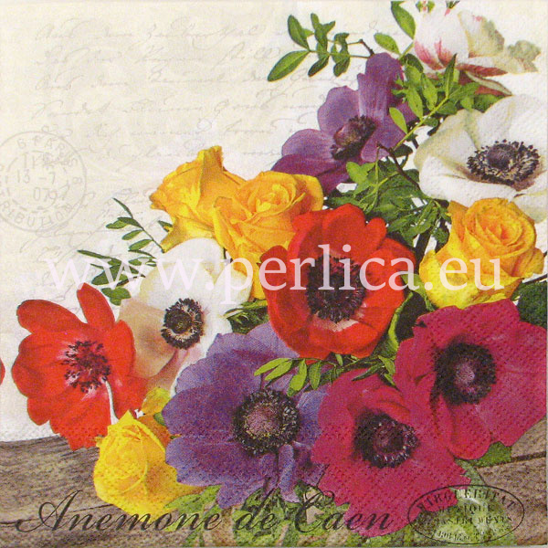 Salveta "Anemone de caen" C36