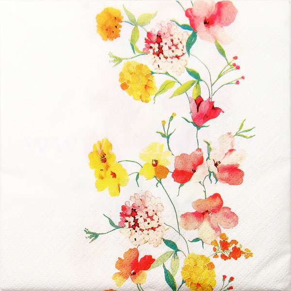 Salveta  Watercoloured flowers C63