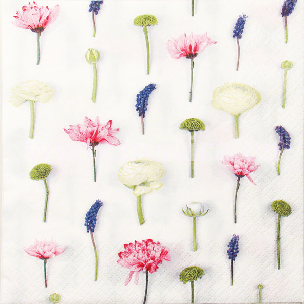 Salveta Flower Composition C14