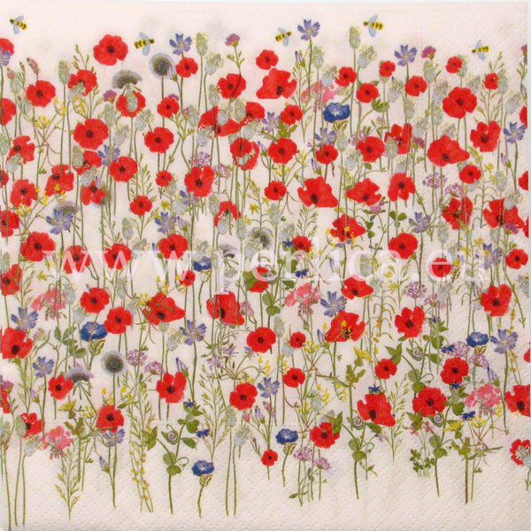 Salveta Harmony Poppies C65
