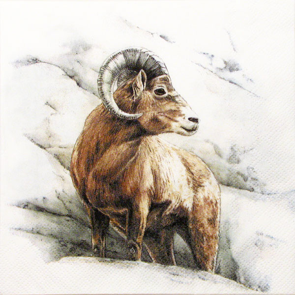 Salveta "Mountain wildlife" ZS7