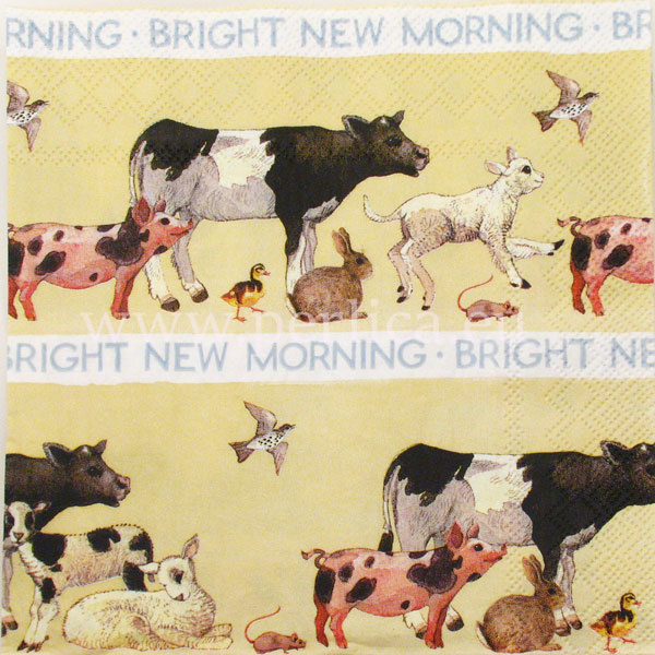 Salveta" Bright new morning" ZS8