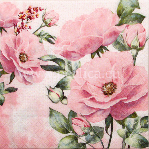 Saveta "Rose garden" CR17