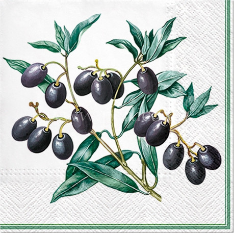 Salveta Olive branch MAS10