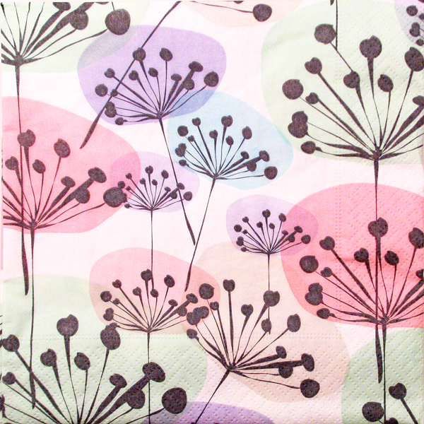 Salveta Umbels C40