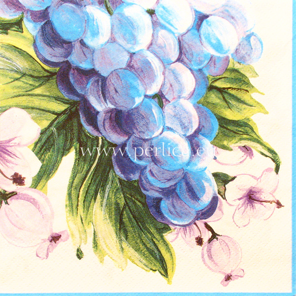 Salveta Grapes tourquise  VP21