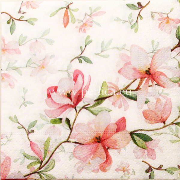 Salveta Magnolia C42
