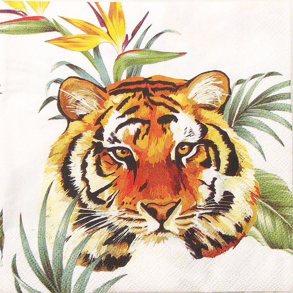 Salveta Safari Park  J3
