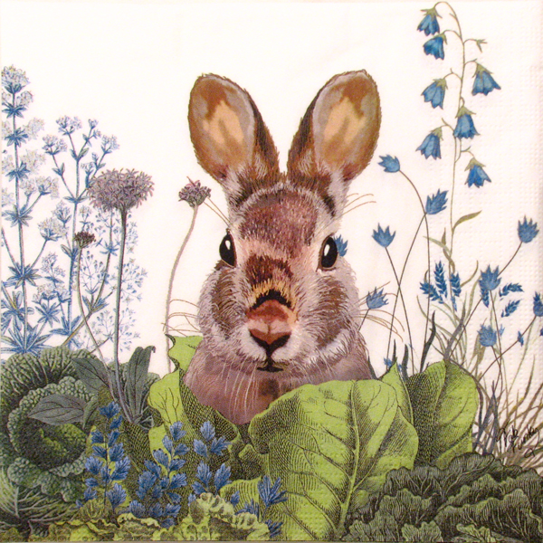 Salveta Chou Chou Bunny SU24