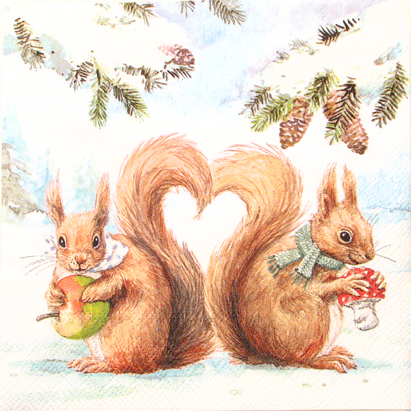 Salveta Squirrel love ZI11
