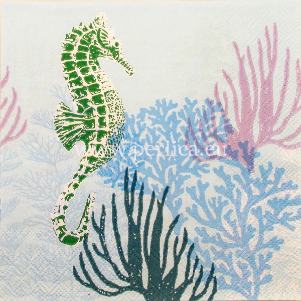 Salveta Coral blue MO3