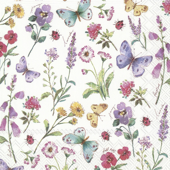 Salveta Summer flowers C92