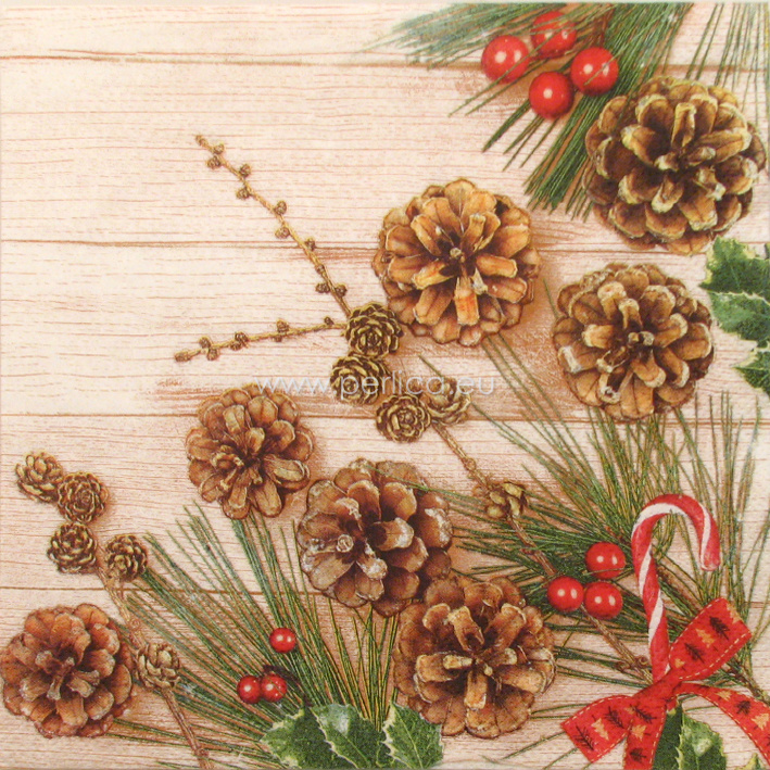 Salveta Winter nature theme ZI17