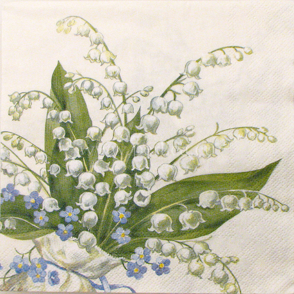 Salveta Convallaria cream C24