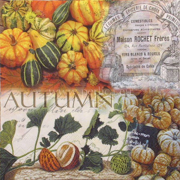 Salvet Autumn pumpkins CJ4