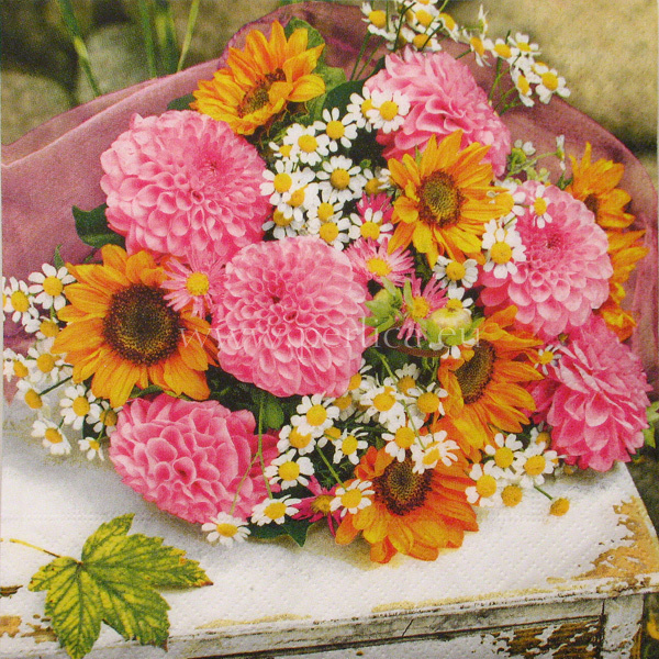 Salveta Autumn romance C83