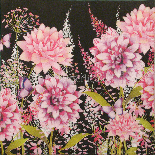 Salveta Flower Beat C70