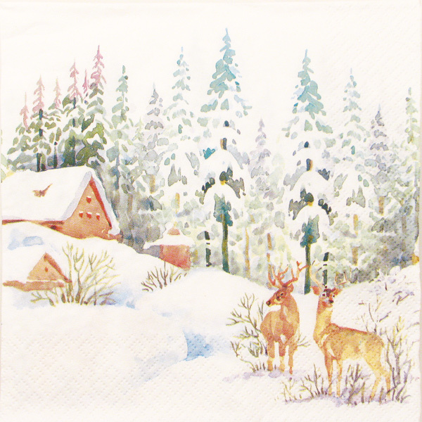 Salveta Winter scene SPB3