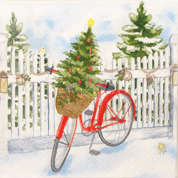 Salveta Christmas bike SPB3