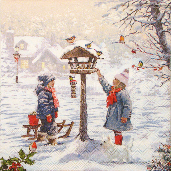 Salveta Feeding birds BD5