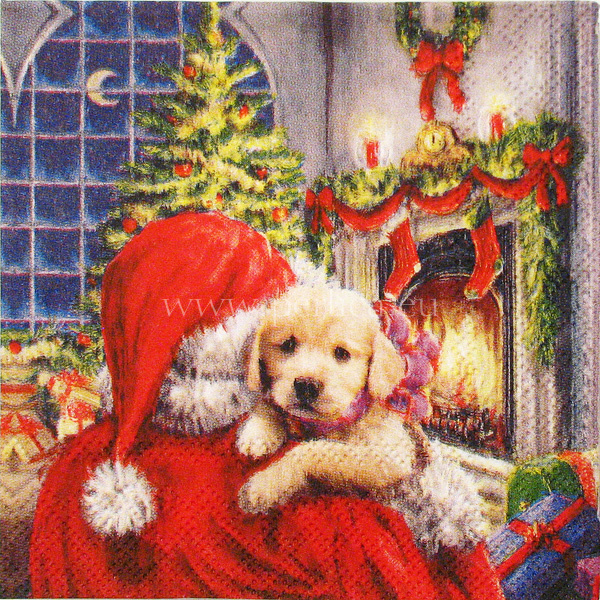 Salveta Puppy at fire ZI25