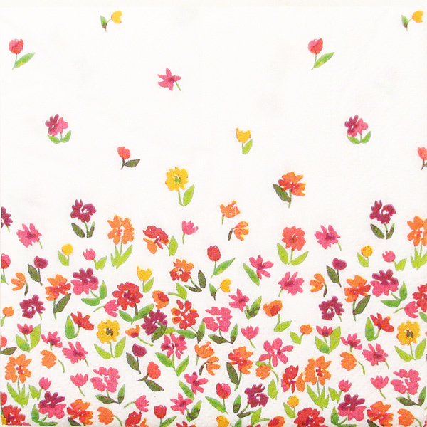 Salveta Redish small flowers C86