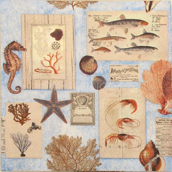 Salveta Sepia Sea Blue MO23