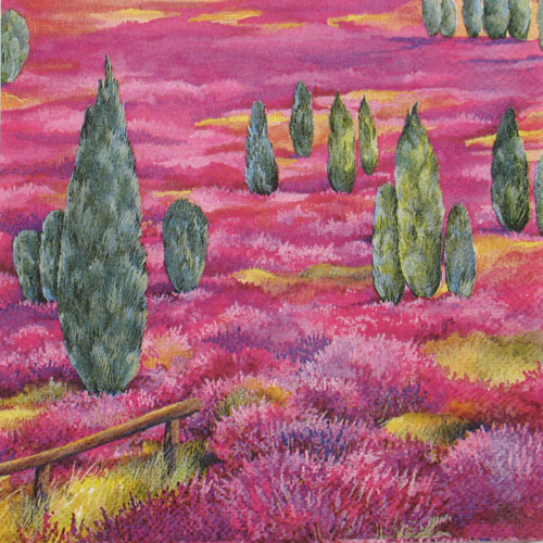Salveta_Pra____i_4f6f00c5ee3c3.jpg