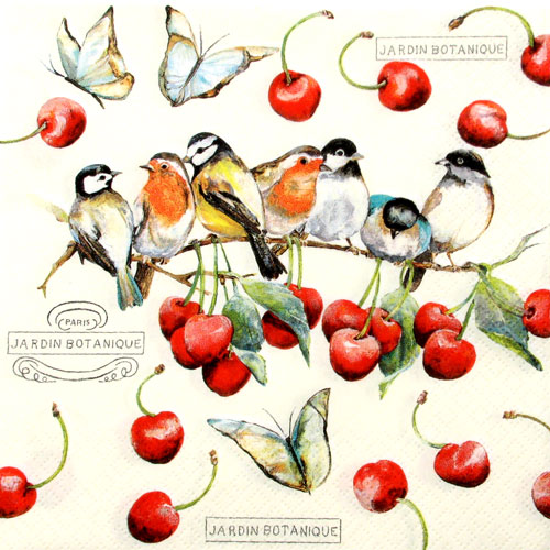 Salveta Cherry Birds VP3