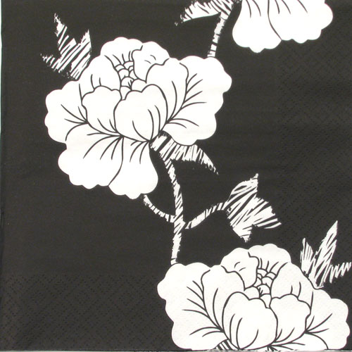 Salveta Rose Viticcio, GCB3