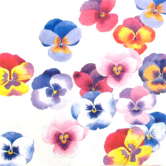 Salveta_Swarm_of_pansies.jpg