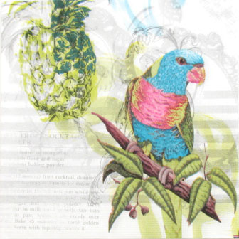 Salveta_Are_4f6f2202bb7be.jpg