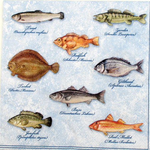 Salveta Fishes, MO9