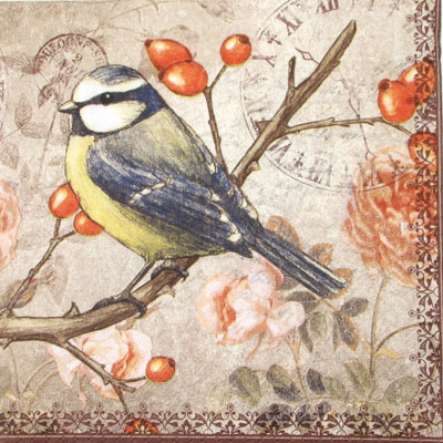 Salveta Blue Tit PT3