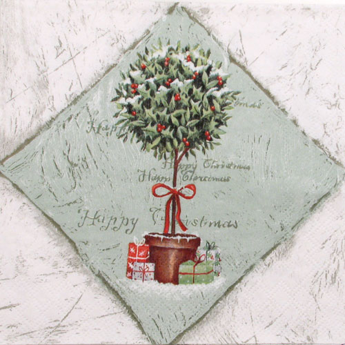 Salveta Ilex Tree, BZ2