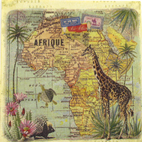 Salveta Travel to Africa J9