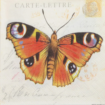 Salveta Butterfly Cards ZL6