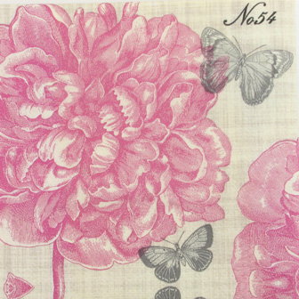 Salveta Piedmont Peony C42