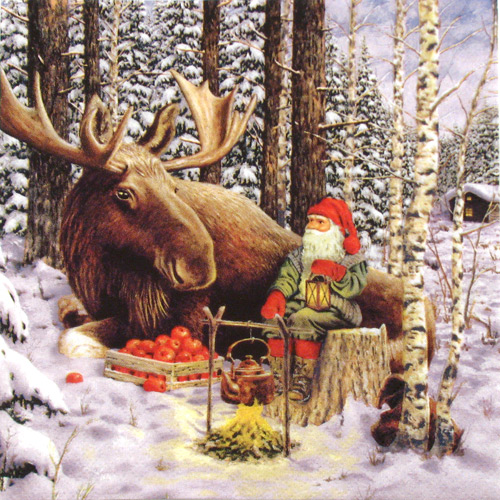 Salveta Nisse with Moose BM2