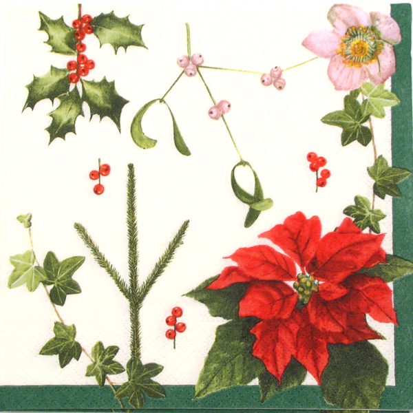 Salveta X mass flowers BM2
