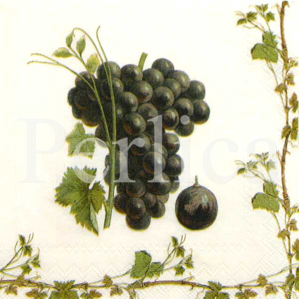 Salveta Grape Harvest red VP25