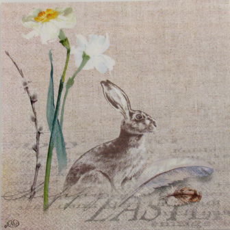 Happy Narcisse Naturelle SU14