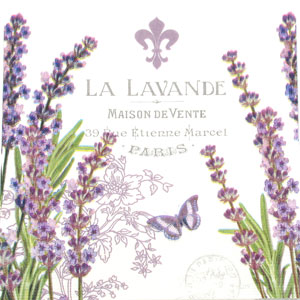 Salveta La lavande CL7