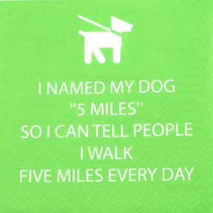 Salveta 5 miles LN4