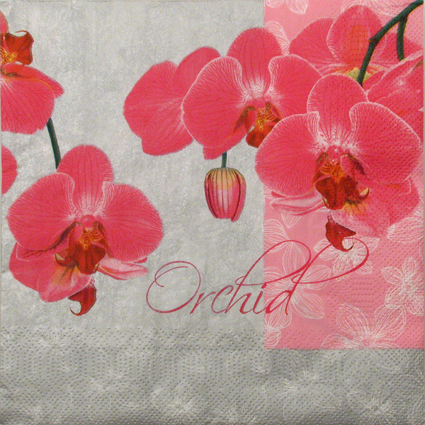 Salveta Romantic Orchid C21