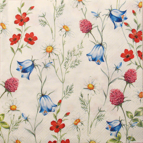 Salveta MIxed wild flower white C71