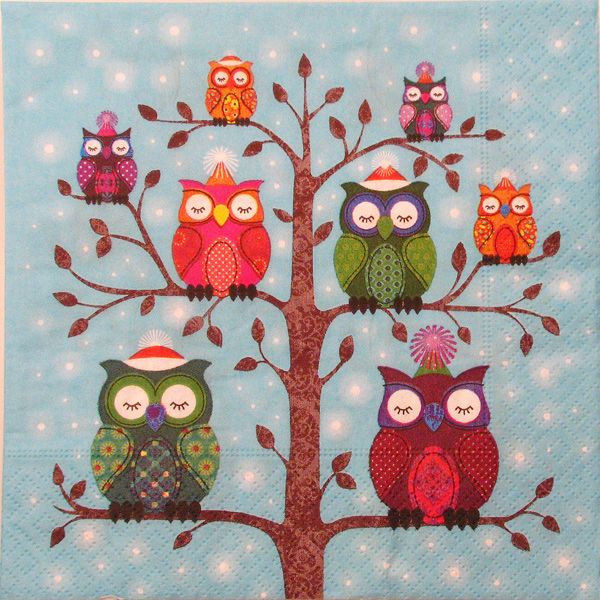 Salveta Eulen - Owls PT3