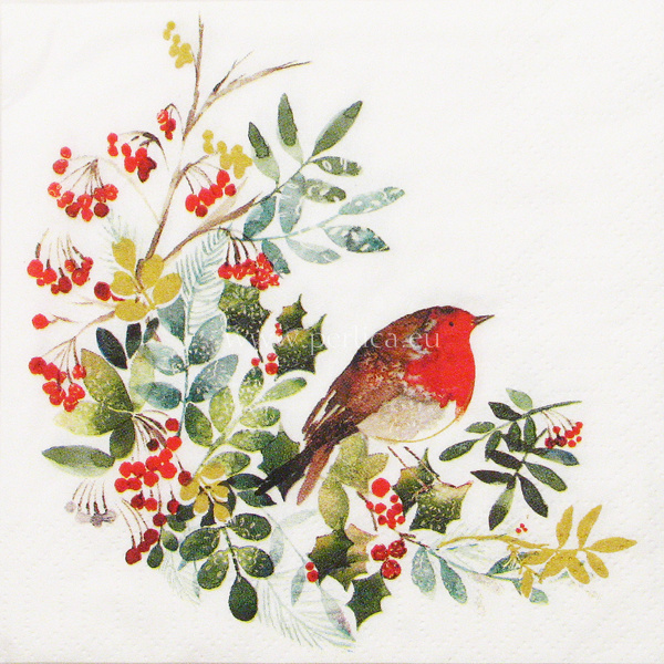 Salveta Pettirosso BP2