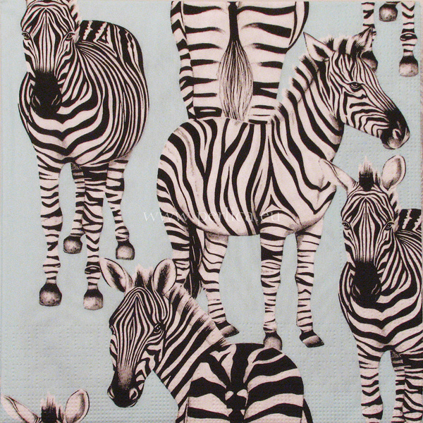 Salveta Zebras J3