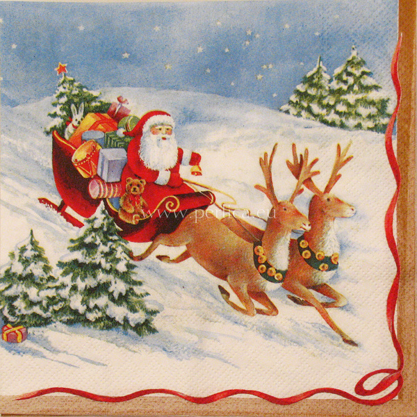Salveta Hurry up Santa DM7
